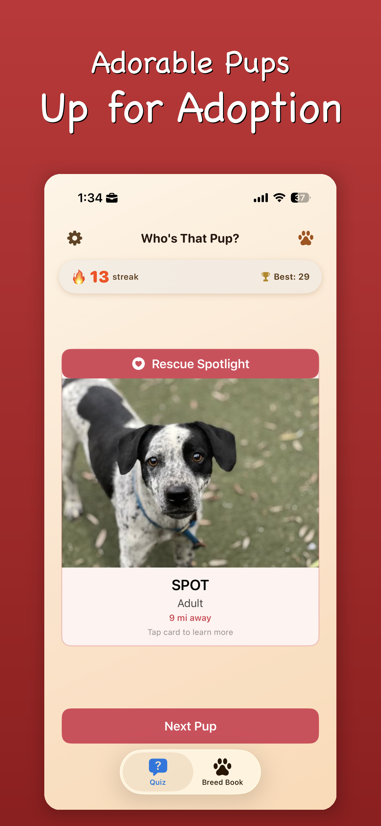 See adorable pups up for adoption near you with Rescue Spotlight