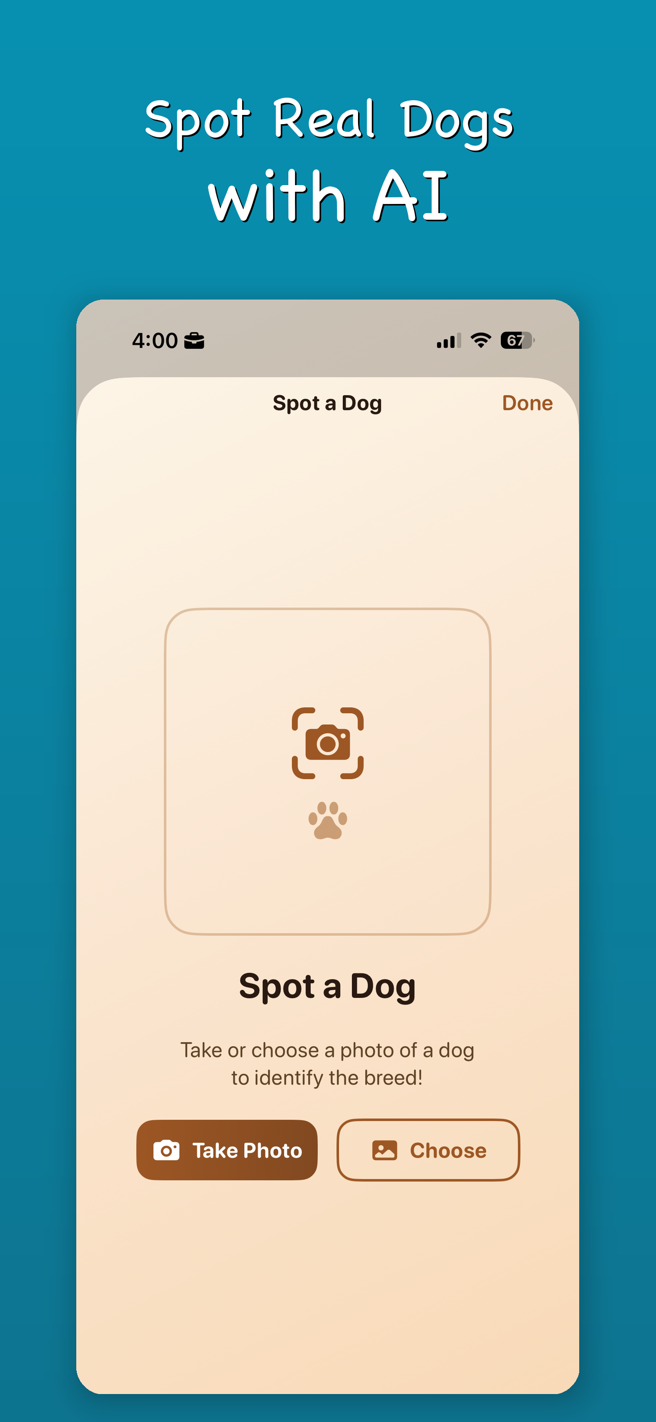 Spot real dogs with your camera and identify their breed using AI