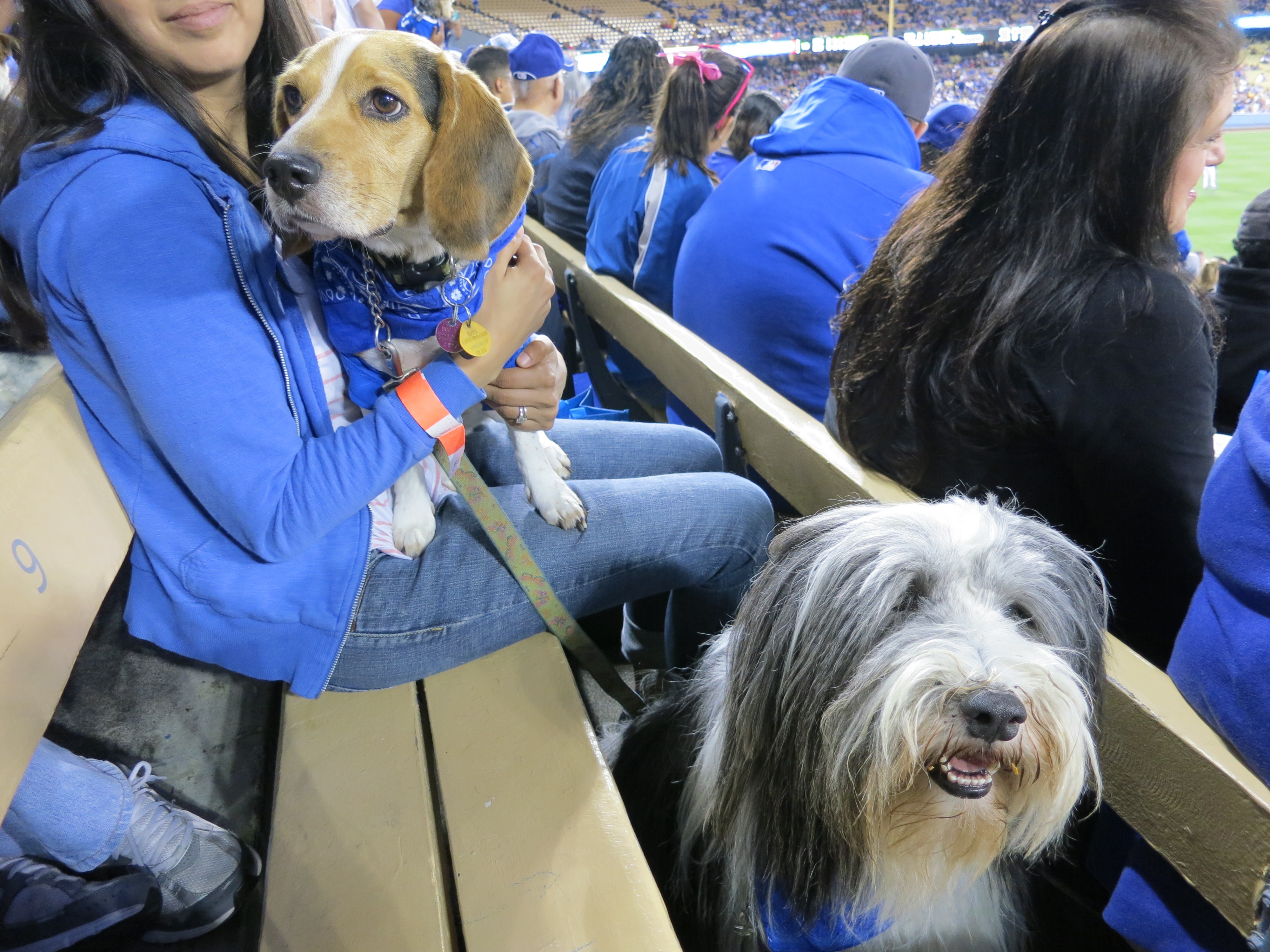 Bean and Jale - Cheering at the Stadium