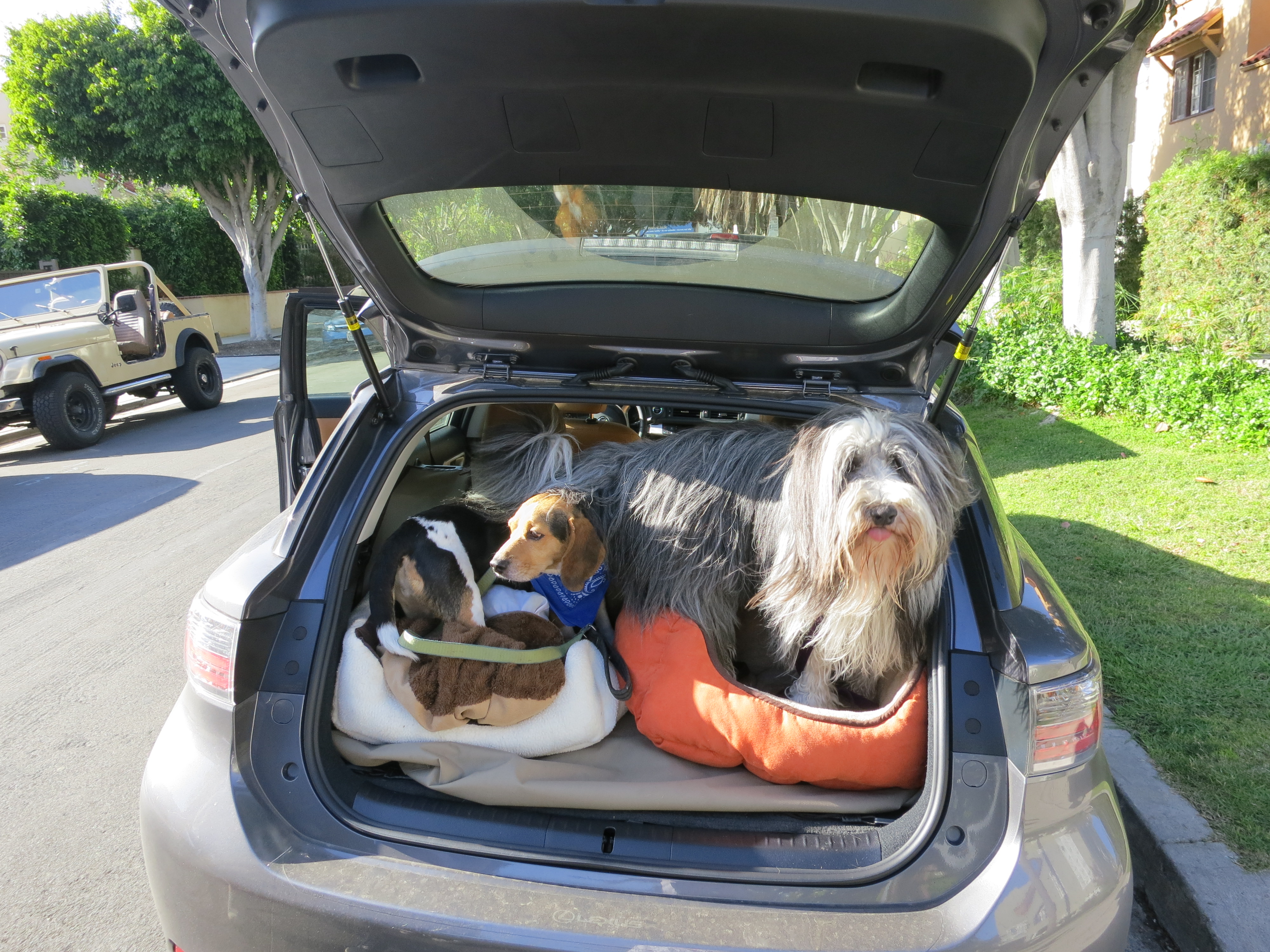 Bean and Jale - Road Trip Buddies